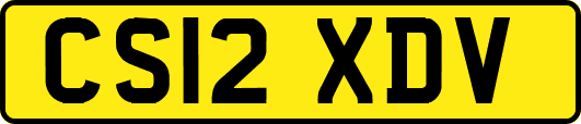 CS12XDV