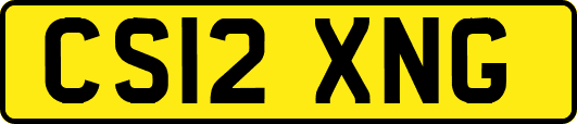 CS12XNG