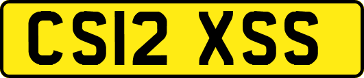 CS12XSS