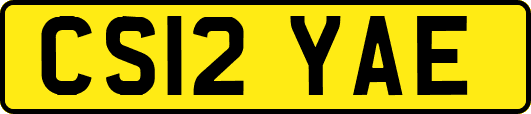 CS12YAE