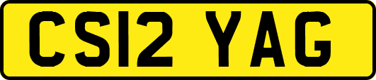 CS12YAG