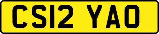 CS12YAO