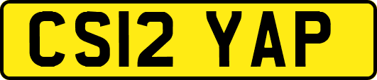 CS12YAP