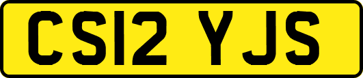 CS12YJS