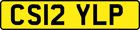 CS12YLP