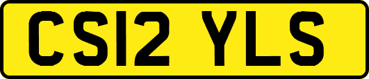 CS12YLS