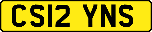 CS12YNS