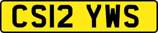 CS12YWS
