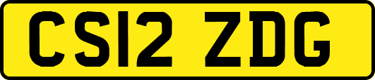 CS12ZDG
