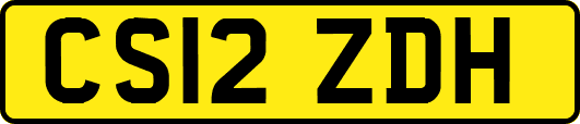 CS12ZDH
