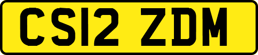 CS12ZDM