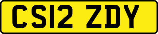 CS12ZDY