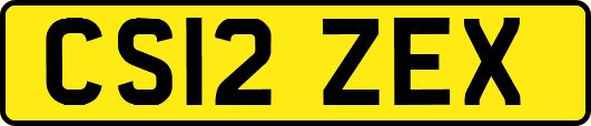 CS12ZEX