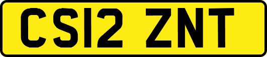 CS12ZNT