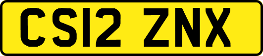 CS12ZNX