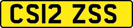 CS12ZSS