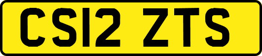 CS12ZTS