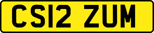 CS12ZUM