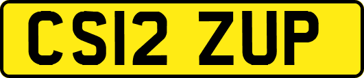 CS12ZUP
