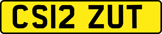 CS12ZUT