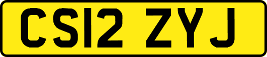 CS12ZYJ