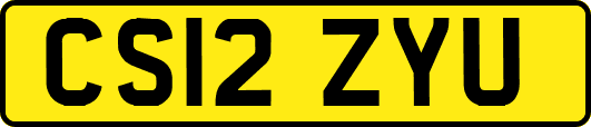 CS12ZYU