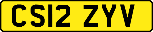 CS12ZYV
