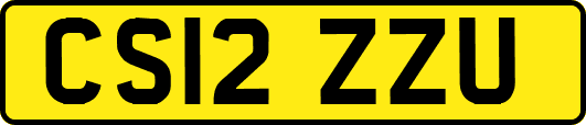 CS12ZZU