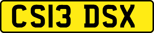 CS13DSX