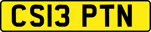 CS13PTN