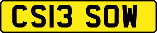 CS13SOW