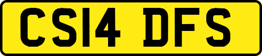 CS14DFS