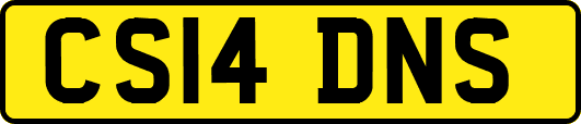 CS14DNS