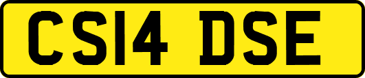 CS14DSE