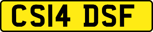 CS14DSF