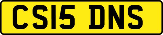 CS15DNS