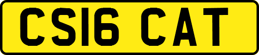CS16CAT