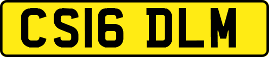 CS16DLM