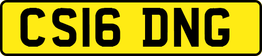 CS16DNG
