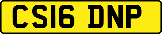 CS16DNP