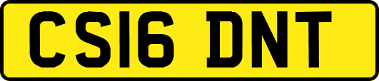 CS16DNT