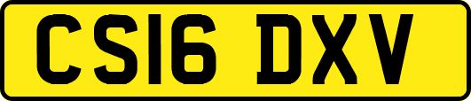 CS16DXV