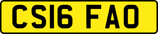 CS16FAO