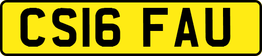 CS16FAU