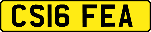 CS16FEA