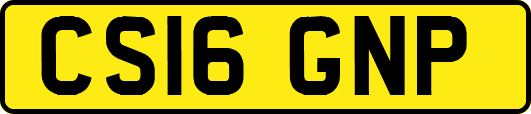 CS16GNP