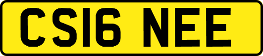 CS16NEE
