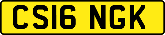 CS16NGK