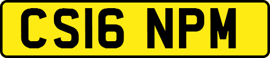 CS16NPM