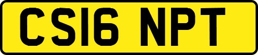 CS16NPT